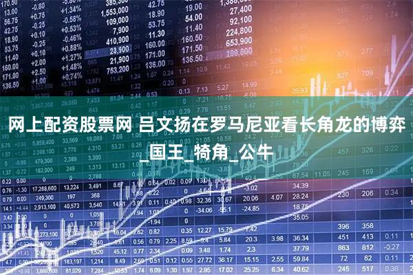 网上配资股票网 吕文扬在罗马尼亚看长角龙的博弈_国王_犄角_公牛